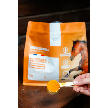 Curcuma + Natural'Innov