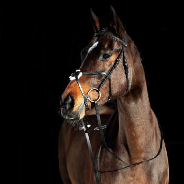 Cabeçada com noseband cruzado Prescott Horze Preto