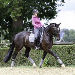 Tapete de dressage LeMieux Carbon Mesh Square Cinzento