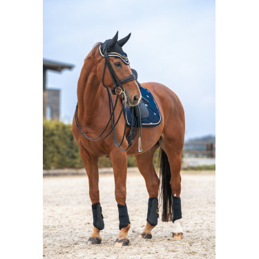 Touca para cavalo Night Collection Back On Track Touca para cavalo Night Collection Back On Track