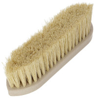 Tampa WaterLily Magic Brush Tampa WaterLily Magic Brush