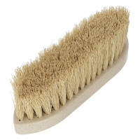 Tampa WaterLily Magic Brush