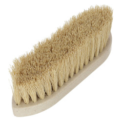 Tampa WaterLily Magic Brush