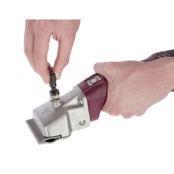 Torqui Aesculap Econom