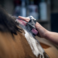 Esponja de banho e massagem para cavalos LeMieux