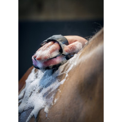 Esponja de banho e massagem para cavalos LeMieux Esponja de banho e massagem para cavalos LeMieux