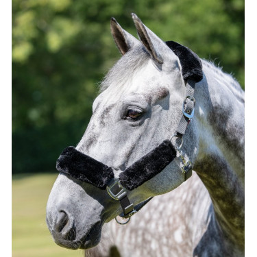 Cabeçada LeMieux Confort Cinza / preto Cinzento Cabeçada LeMieux Confort Cinza / preto Cinzento