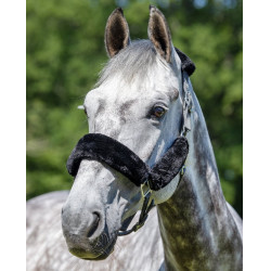 Cabeçada LeMieux Confort Cinza / preto Cinzento Cabeçada LeMieux Confort Cinza / preto Cinzento