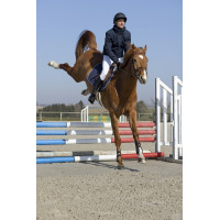 Jaqueta Pro Series Transition Azul-marinho