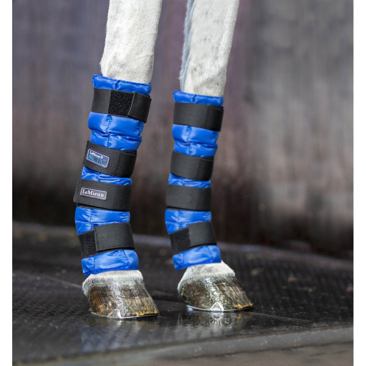 Guinchos refrigerantes Artic Ice LeMieux Guinchos refrigerantes Artic Ice LeMieux