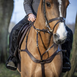 Chaps impermeáveis LeMieux DryTex Stormwear Chaps impermeáveis LeMieux DryTex Stormwear