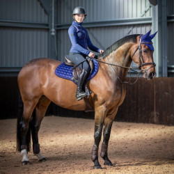 Almofada LeMieux Loire Memory Close Contact Square Azul tinta Almofada LeMieux Loire Memory Close Contact Square Azul tinta