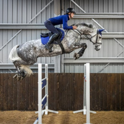 Almofada LeMieux Loire Memory Close Contact Square Azul tinta Almofada LeMieux Loire Memory Close Contact Square Azul tinta