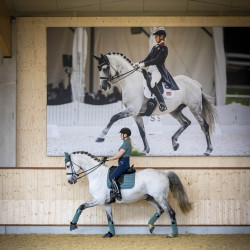 Tapete de dressage LeMieux Carbon Mesh Square Tapete de dressage LeMieux Carbon Mesh Square