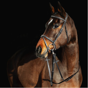 Filete Constance Horze Preto