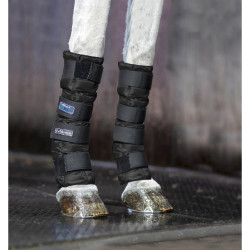 Guinchos refrigerantes Artic Ice LeMieux Preto Guinchos refrigerantes Artic Ice LeMieux Preto