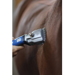 Máquina de tosquiar Aesculap Bonum sem fio para cavalos Máquina de tosquiar Aesculap Bonum sem fio para cavalos