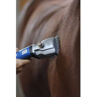 Máquina de tosquiar Aesculap Bonum sem fio para cavalos Máquina de tosquiar Aesculap Bonum sem fio para cavalos