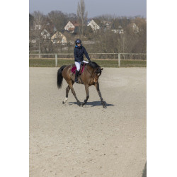 Blusão Pro Series Equilibre Azul-marinho Blusão Pro Series Equilibre Azul-marinho