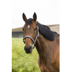 Caveção Equithème Air Cinzento Caveção Equithème Air Cinzento