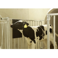 Raspador de parede Kerbl Preto