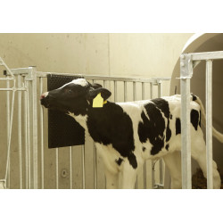 Raspador de parede Kerbl Preto