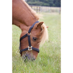 Cabridão forrado de borracha com corda T de T Cabridão forrado de borracha com corda T de T
