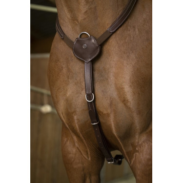 Peitoral Norton Pro Confort Peitoral Norton Pro Confort