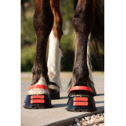 Conjunto de tiras frontais Scoot Boots Conjunto de tiras frontais Scoot Boots