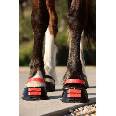 Conjunto de tiras frontais Scoot Boots Conjunto de tiras frontais Scoot Boots