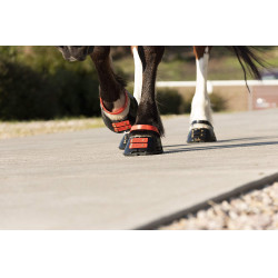 Conjunto de tiras frontais Scoot Boots Conjunto de tiras frontais Scoot Boots