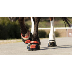 Conjunto de tiras frontais Scoot Boots Conjunto de tiras frontais Scoot Boots