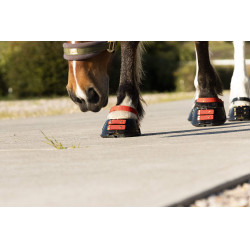 Conjunto de tiras frontais Scoot Boots Conjunto de tiras frontais Scoot Boots