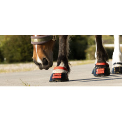 Conjunto de tiras frontais Scoot Boots Conjunto de tiras frontais Scoot Boots