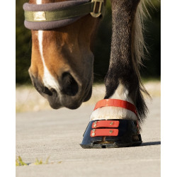 Conjunto de tiras frontais Scoot Boots Conjunto de tiras frontais Scoot Boots