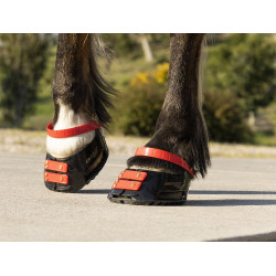 Conjunto de tiras frontais Scoot Boots Conjunto de tiras frontais Scoot Boots