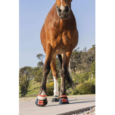 Conjunto de tiras frontais Scoot Boots Conjunto de tiras frontais Scoot Boots