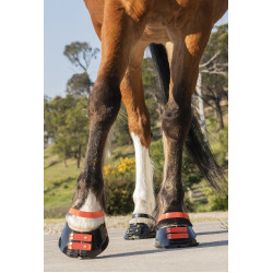 Conjunto de tiras frontais Scoot Boots Conjunto de tiras frontais Scoot Boots