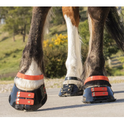 Conjunto de tiras frontais Scoot Boots Conjunto de tiras frontais Scoot Boots