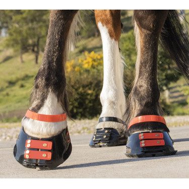 Conjunto de tiras frontais Scoot Boots Conjunto de tiras frontais Scoot Boots