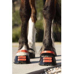 Conjunto de tiras frontais Scoot Boots Conjunto de tiras frontais Scoot Boots