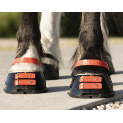 Conjunto de tiras frontais Scoot Boots Conjunto de tiras frontais Scoot Boots