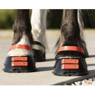 Conjunto de tiras frontais Scoot Boots Conjunto de tiras frontais Scoot Boots