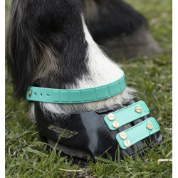 Conjunto de tiras frontais Scoot Boots Água-marinha Azul