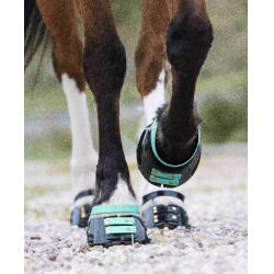 Conjunto de tiras frontais Scoot Boots Água-marinha Azul