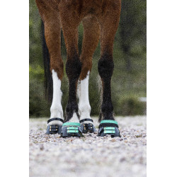 Conjunto de tiras frontais Scoot Boots Água-marinha Azul