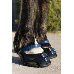 Conjunto de tiras frontais Scoot Boots Azul-marinho Conjunto de tiras frontais Scoot Boots Azul-marinho