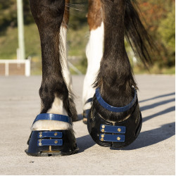 Conjunto de tiras frontais Scoot Boots Azul-marinho Conjunto de tiras frontais Scoot Boots Azul-marinho