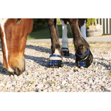 Conjunto de tiras frontais Scoot Boots Azul-marinho Conjunto de tiras frontais Scoot Boots Azul-marinho