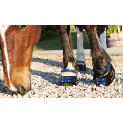 Conjunto de tiras frontais Scoot Boots Azul-marinho Conjunto de tiras frontais Scoot Boots Azul-marinho